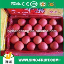 Wholesale fresh apple fruit names all dry fruits